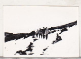 bnk foto - Varful Cumpanatelu 1964