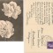 GERMANIA 1942 - GAROAFE. ILUSTRATA ALB-NEGRU CIRCULATA, FD79