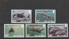 Fauna marina ,cetacee ,Man. foto