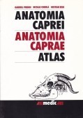 Anatomia caprei / Anatomia caprei foto mare Anatomia caprei / Anatomia caprei foto mare