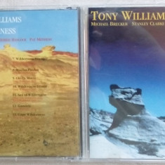 CD JAZZ: TONY WILLIAMS - WILDERNESS (w.MICHAEL BRECKER/METHENY/HANCOCK/S.CLARKE)