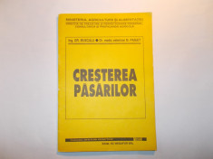 Cresterea pasarilor foto