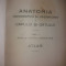 D. BERCEANU ? ANATOMIA TOPOGRAFICA... A CAPULUI SI GATULUI - ATLAS {1939}