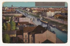 Timisoara vedere generala raul Bega 1919 foto