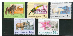 Ungaria, fauna, gorila, tucan, urs polar, 1991, MNH foto