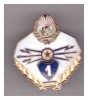 Insigna Transmisionist clasa I RSR, Romania de la 1950