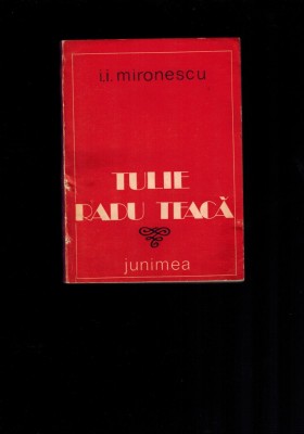 I. I. Mironescu - Tulie Radu Teaca, povestiri foto