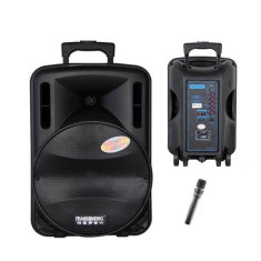 Boxa portabila Bluetooth Temeisheng A8 Karaoke , Microfon, USB, Radio FM, SD... foto