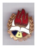 Insigna pioniereasca de basca