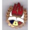 Insigna pioniereasca de basca
