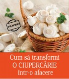 CUM TRANSFORMI O CIUPERCARIE, INTR-O AFACERE - IDEI de AFACERI