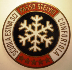 I.771 ITALIA INSIGNA SPORT SCHI SCUOLA ESTIVA SCI CONFORTOLA PASSO STELVIO email foto