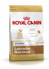 Royal Canin Labrador Junior 12kg foto