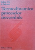 TERMODINAMICA PROCESELOR IREVERSIBILE - Vilcu, Dobrescu