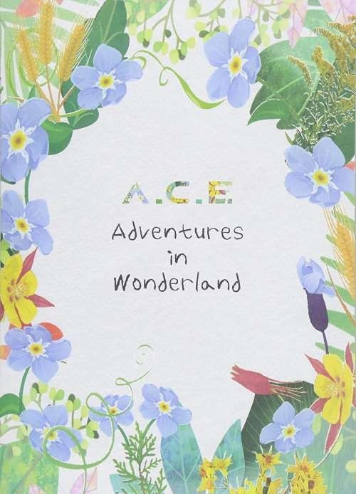 A.C.E - A.C.E. Adventures In.. ( 1 CD ) A.C.E - A.C.E. Adventures In.. ( 1 CD )