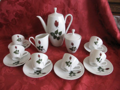 SET / SERVICIU CAFEA PORTELAN WINTERLING BAVARIA ANUL 1950 DECOR CU TRANDAFIRI foto