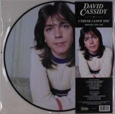 David Cassidy - I Think I Love You -.. ( 1 VINYL ) foto