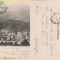 Sinaia (clasica) -Vedere de la Piscul Cainelui-TCV