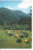 (A)carte postala-TUSNAD-Camping, Circulata, Printata