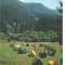 (A)carte postala-TUSNAD-Camping