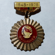 INSIGNA BRIGADIER UTC - 1948 - 1978 - 30 ANI DE LA SANTIERE NAT. A TINERETULUI