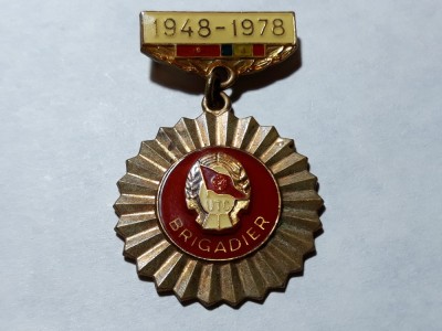 INSIGNA BRIGADIER UTC - 1948 - 1978 - 30 ANI DE LA SANTIERE NAT. A TINERETULUI foto