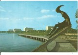 (A)carte postala-MAMAIA