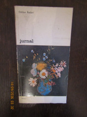 JURNAL -ODILON REDON foto