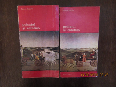 PEISAJUL SI ESTETICA-ROSARIO ASSUNTO ( 2 VOL ) foto