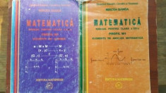 Matematica manual pentru clasa a XII-a 1, 2. Elemente de analiza matematica, Algebra-Mircea Ganga foto