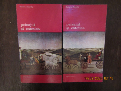 PEISAJUL SI ESTETICA-ROSARIO ASSUNTO ( 2 VOL ) foto