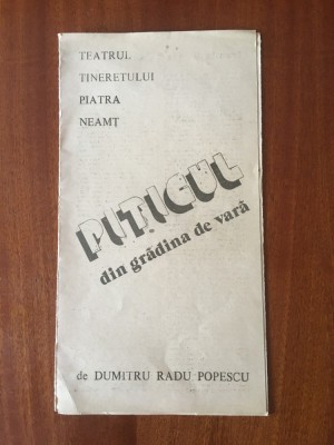 Program TEATRUL TINERETULUI Piatra Neamt (Piticul din gradina de vara - Popescu) foto