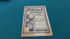 BIBLIOTECA AGRICOLA*CULTIVAREA CAP?UNILOR CU 13 FIGURI/ILIE ISVORANU/1939 foto