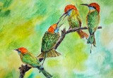 Pictura in acuarela neinramata - cearta mancatorilor de albine 35cmx27cm