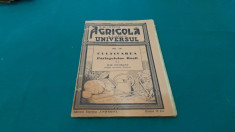 BIBLIOTECA AGRICOLA* CULTIVAREA PATLAGELELOR RO?II/ILIE ISVORANU/1939 foto