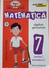 MATEMATICA ALGEBRA GEOMETRIE CLASA VII-A CONSOLIDARE - Negrila (partea I) foto