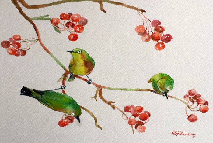 Pictura in acuarela - coacaze rosii si pasari verzi
