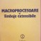 MACROPROCESOARE SI LIMBAJE EXTENSIBILE - Niculescu, Golesteanu