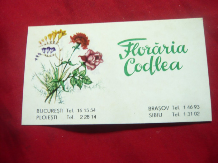 Carte Vizita Reclama Floraria Codlea adresat Dlui si Dnei Ministru Matei Ghigiu