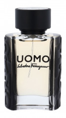 Apa de toaleta Salvatore Ferragamo Uomo Barbatesc 30ML foto