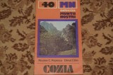 Muntii Cozia - Nicolae Popescu
