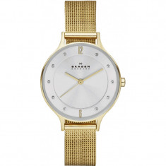 Ceas dama Skagen Anita SKW2150, Auriu, Otel, Quartz foto