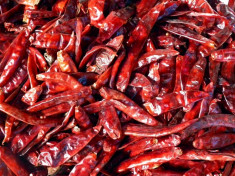 TOPOP CHILLIES WHOLE KASHMIRI 100G foto