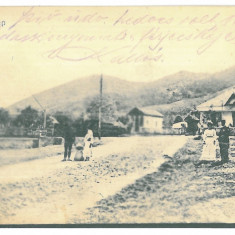 2402 - OITUZ, Bacau, Romania - old postcard - used - 1918