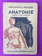 Anatomie pentru curs inferior/autori I.Simionescu si T.A. Badarau/1945 foto