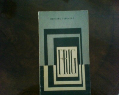 Dumitru Tepeneag Frig, ed. princeps foto