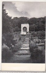 bnk cp Drumul spre mausoleul lui O Goga - Vedere - necirculata