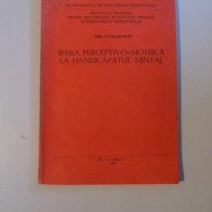 SFERA PERCEPTIVO-MOTRICA LA HANDICAPATUL MINTAL-SORA LUNGU-NICOLAE 1994