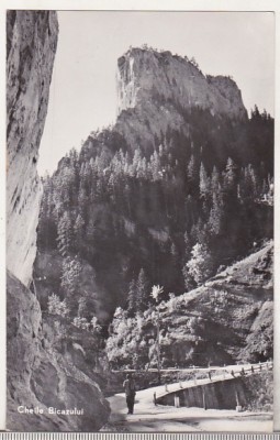 bnk cp Cheile Bicazului - Vedere - circulata foto