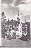 Bnk cp Sinaia - Muzeul Peles - circulata, Printata